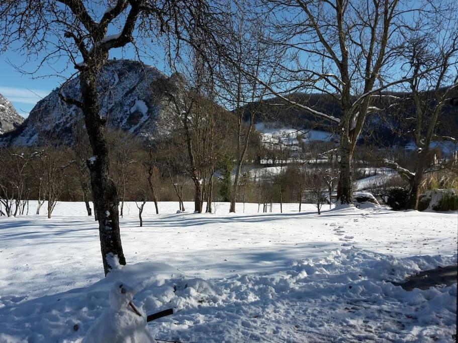 Вилла Grange En Pierres. Grand Jardin Et Belle Vue Saurat Экстерьер фото